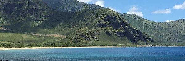 SCrittendenMD Profile Banner