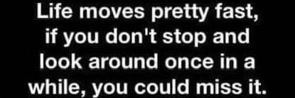 Forestboy1972 banner