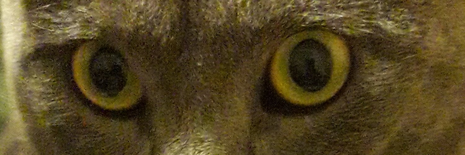 solarums's profile banner image