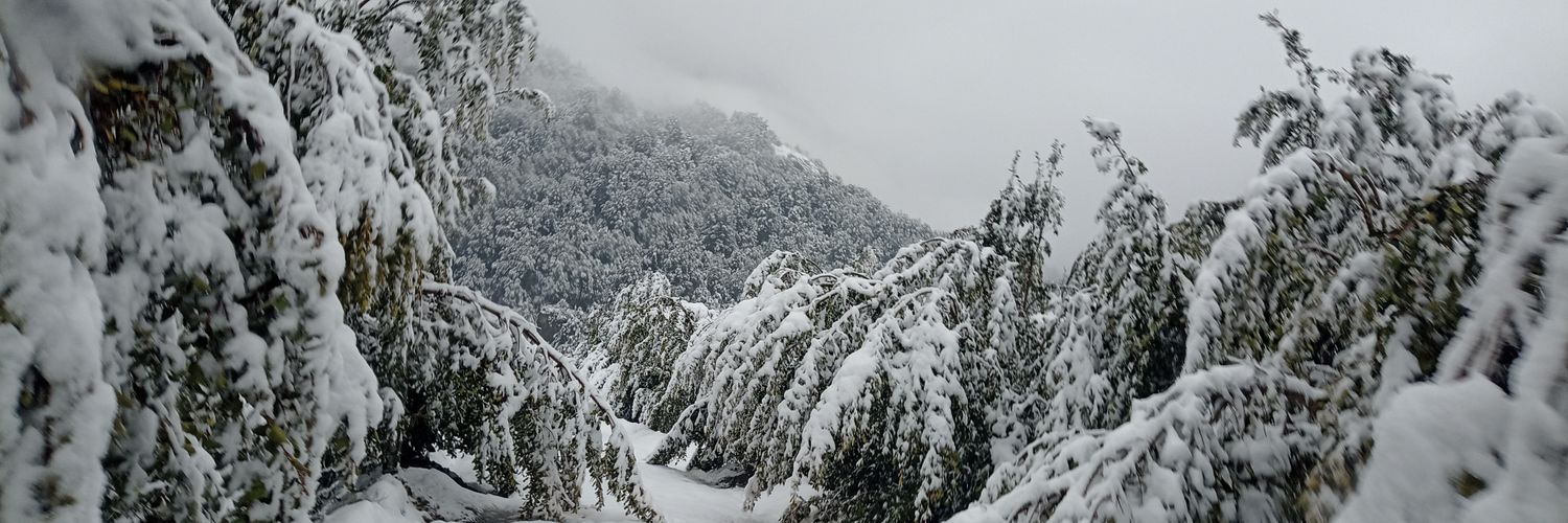 Secafri's profile banner image