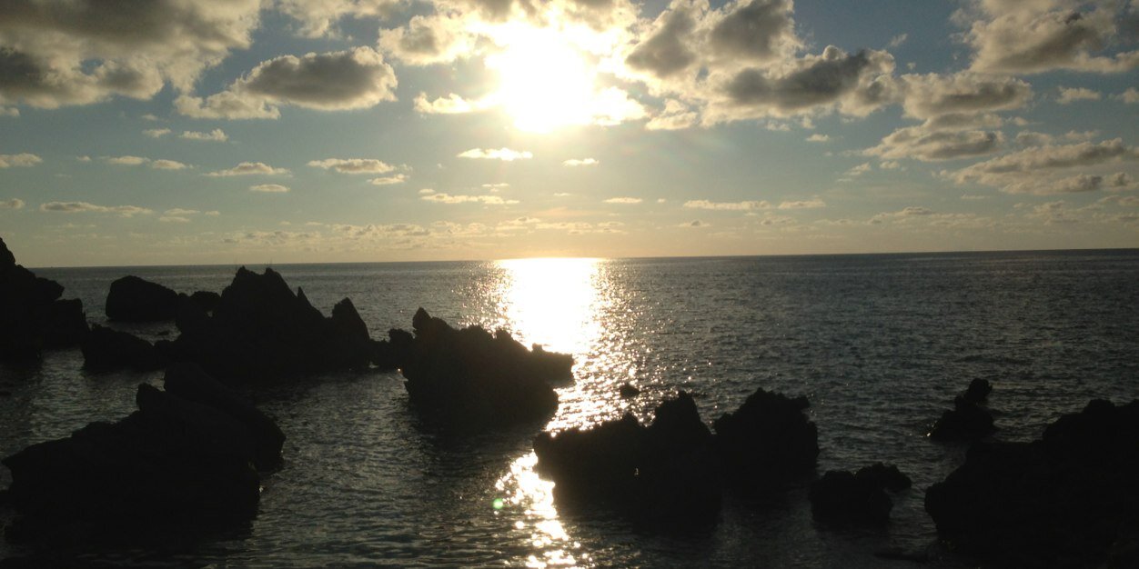 Peejee 🇨🇦 banner