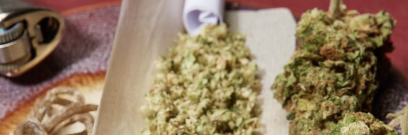 🤙🏾Tre In Ibiza🤙🏾 banner