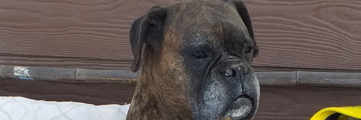 bukento's profile banner image
