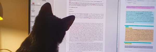 CaballeroGea Profile Banner
