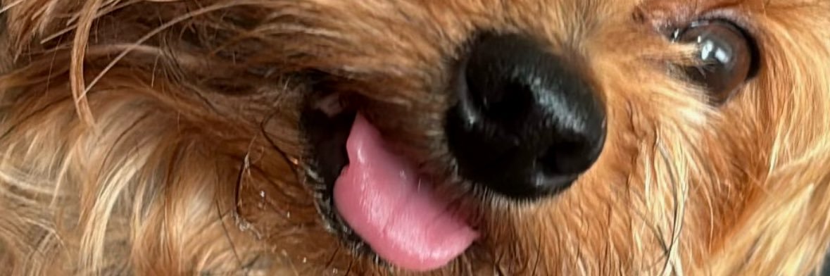 torinha3_'s profile banner image