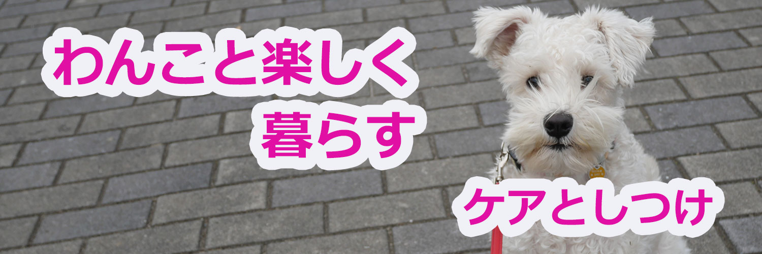 茶リオとビノの生活 banner