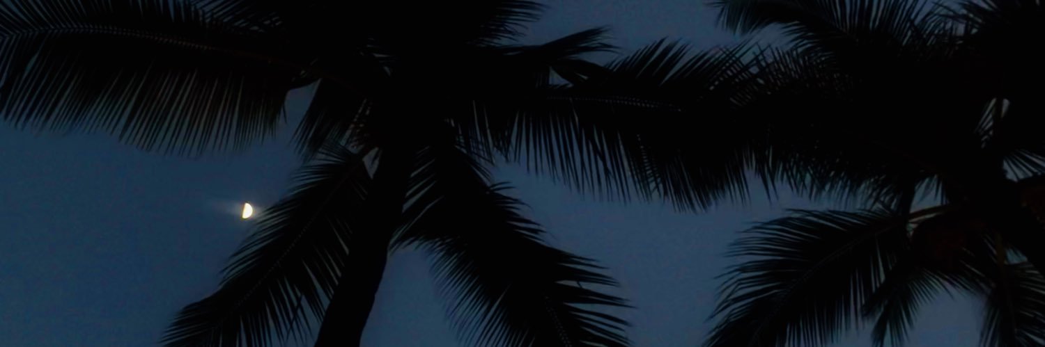 HeidiKalua's profile banner image