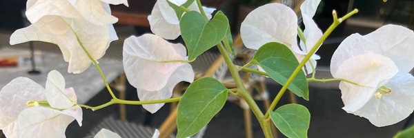 bnboebc Profile Banner