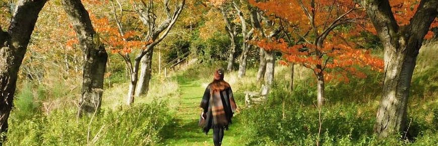 beth_garrard's profile banner image