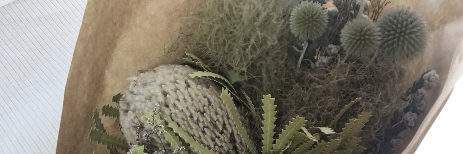 cooyam1's profile banner image