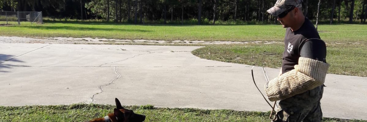javierk9's profile banner image