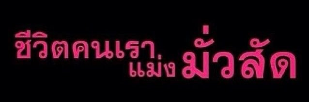 ลิง banner