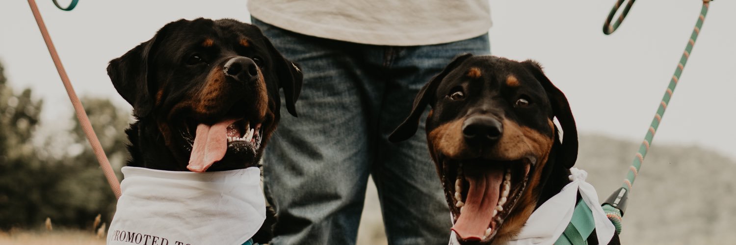 megtrivett_33's profile banner image