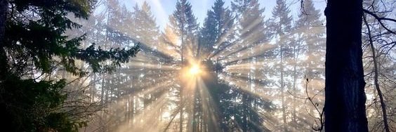 🎂 inheritskill banner