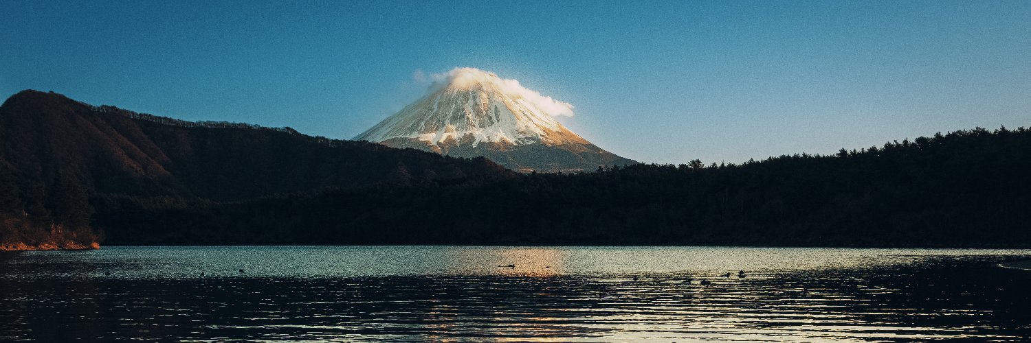 VIEWTASTIC's profile banner image
