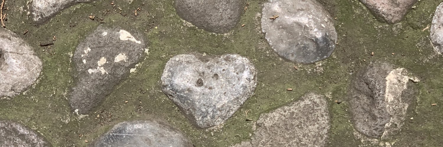 jill_applegate's profile banner image