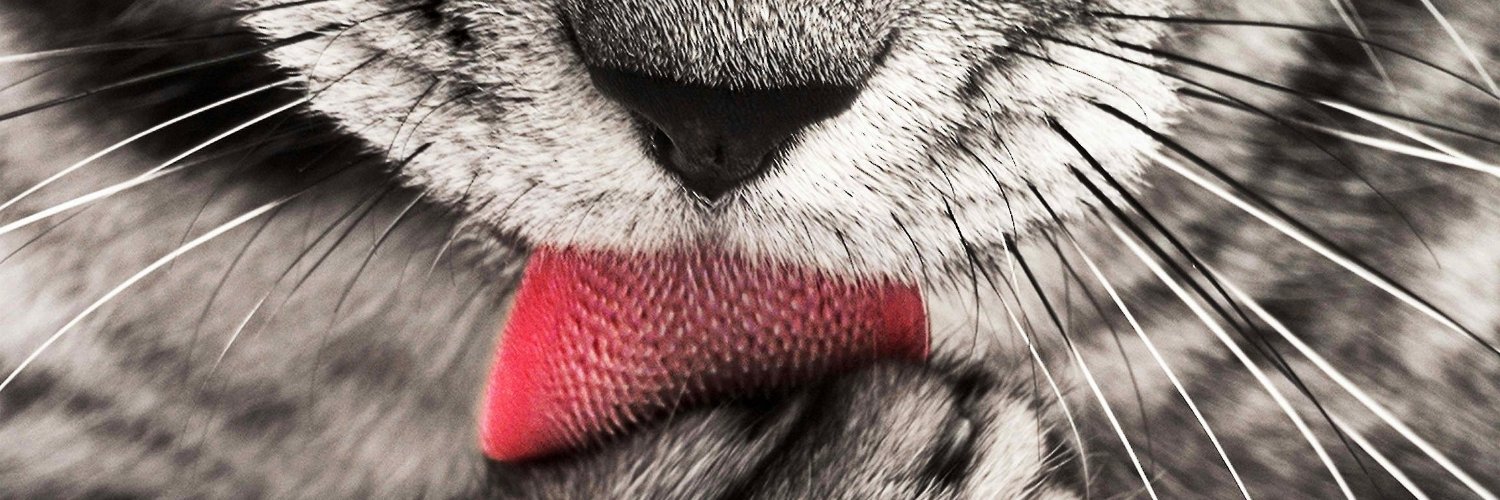 ケン助（スマ塾） banner