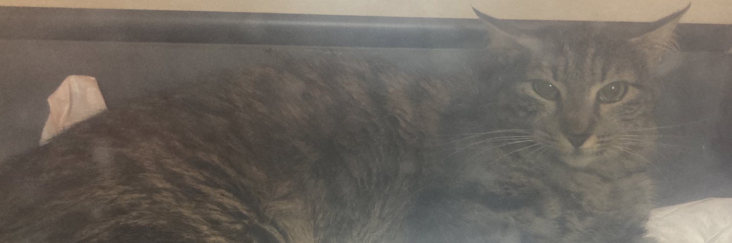 ඞ banner