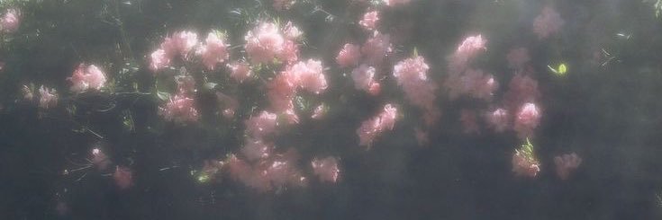 urmaunv's profile banner image