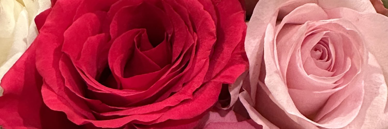 CynthiaPense's profile banner image