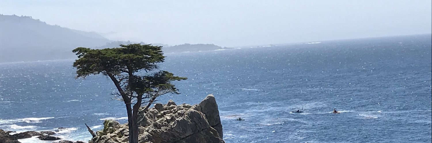 annelm613's profile banner image