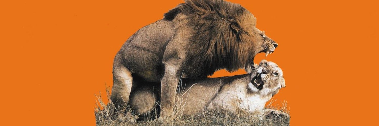 lautarocaf's profile banner image