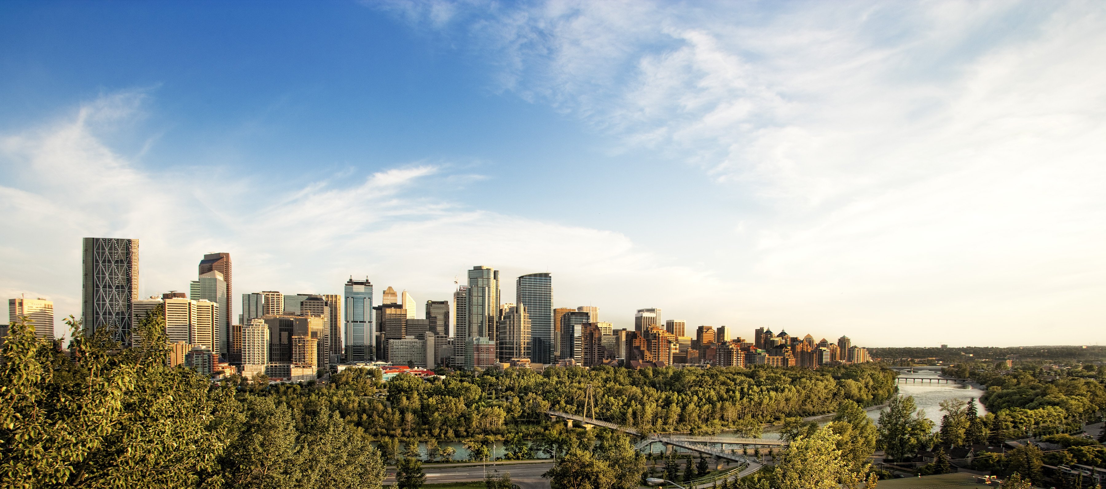 Sandi Gilbert banner