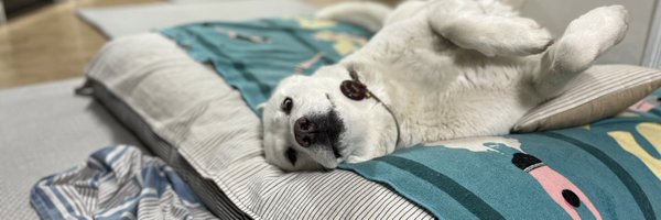 Dals_moment Profile Banner