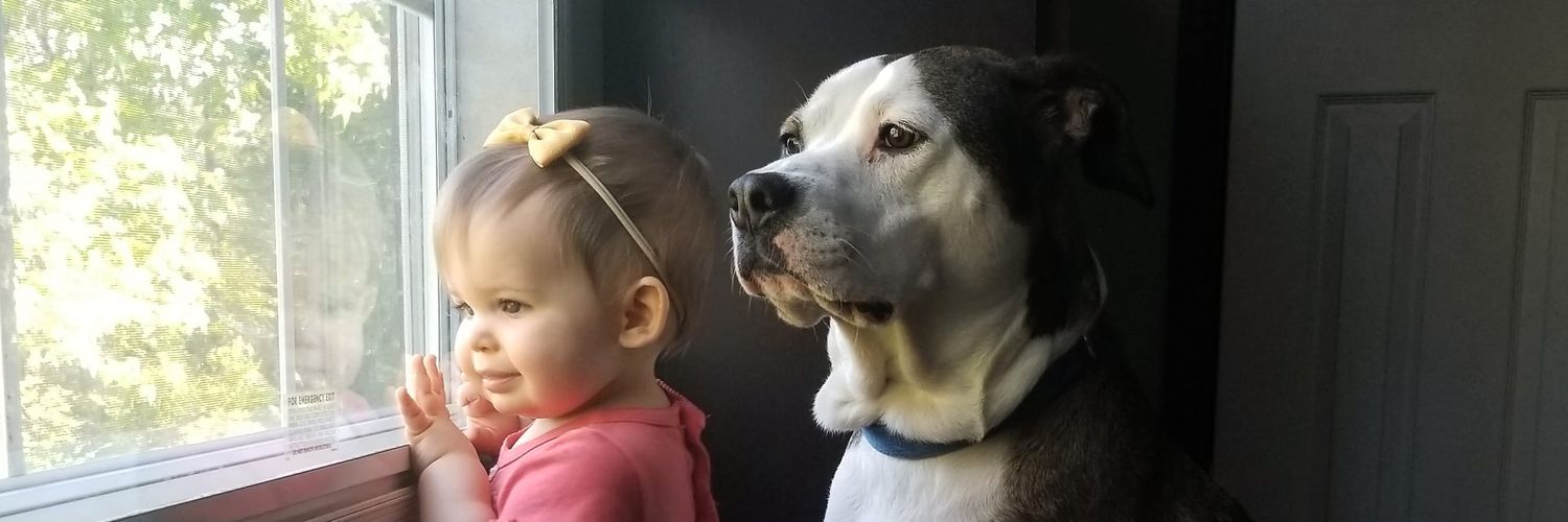 HannahNapsOften's profile banner image
