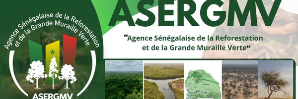 asergmv Profile Banner