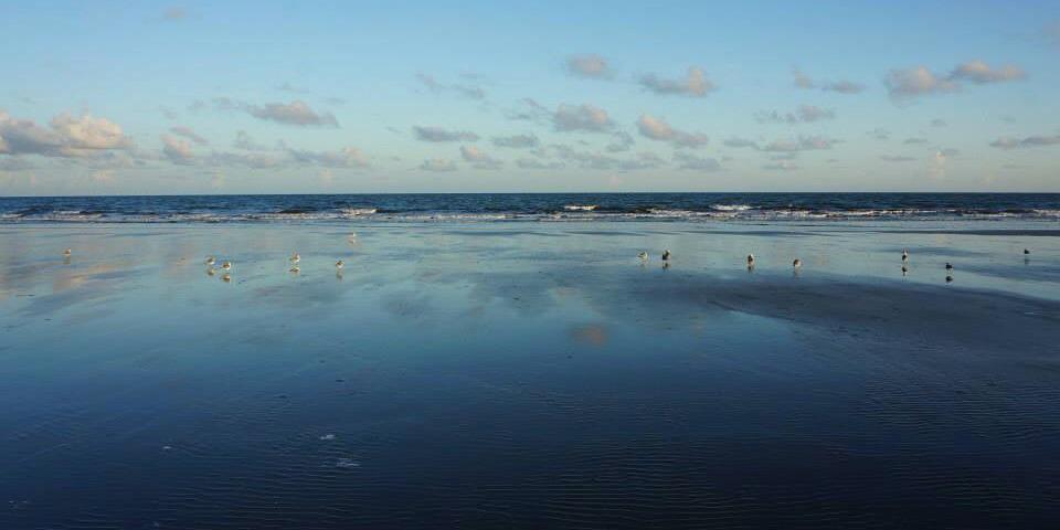 NJBeachGrl's profile banner image