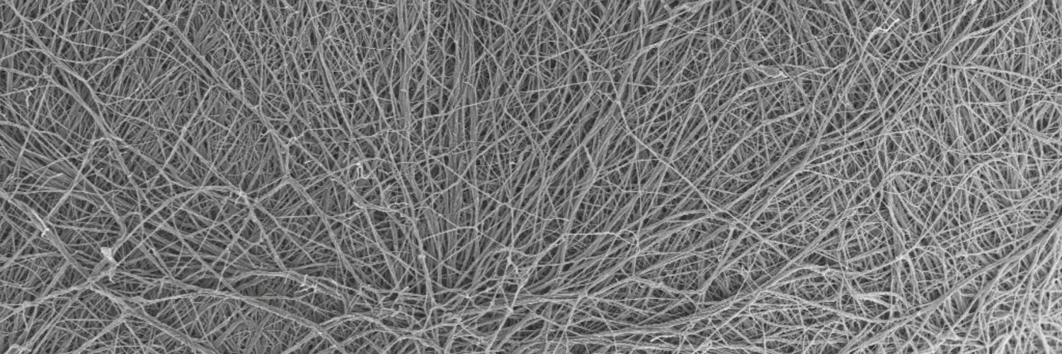 Nick Hamilton banner