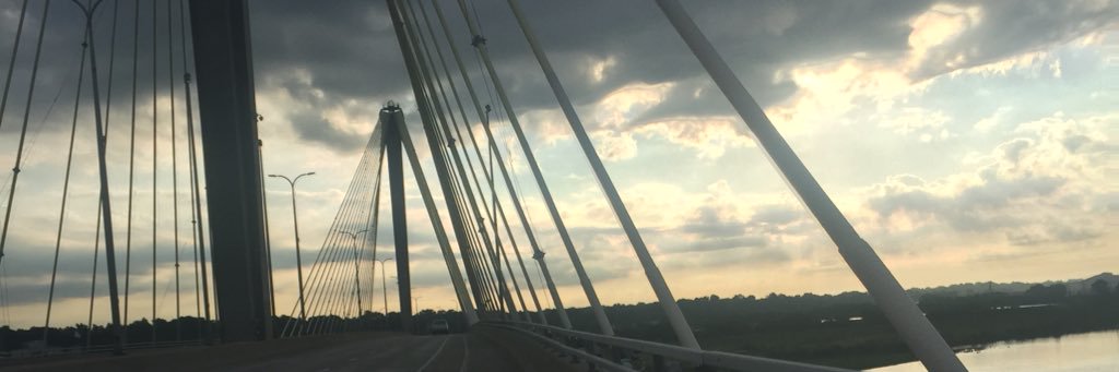 Pelhof's profile banner image