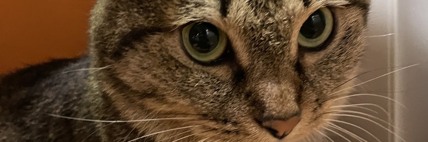 norizo30's profile banner image