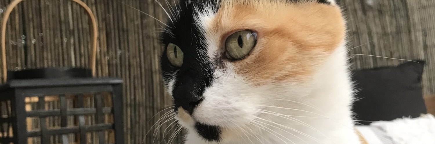 elearemy's profile banner image