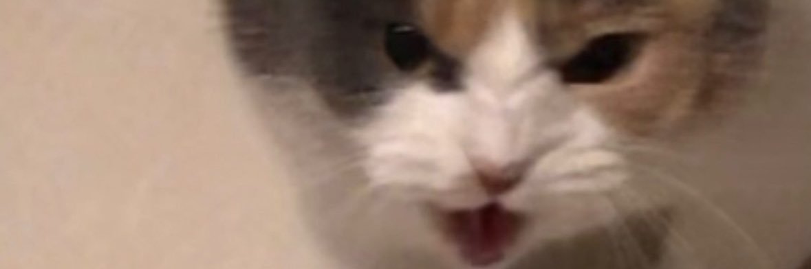 cnnthyaa_'s profile banner image