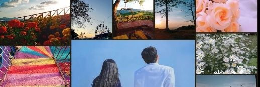 sereniscripts's profile banner image