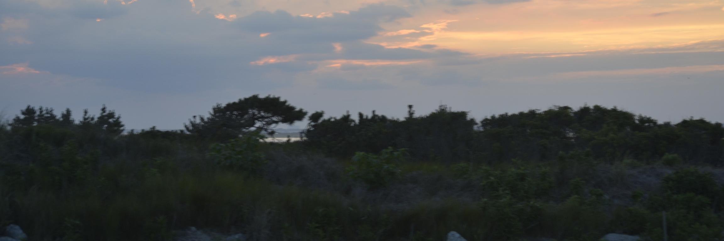 VNacon's profile banner image