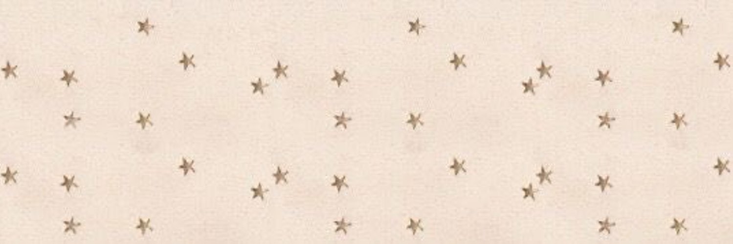 aj banner