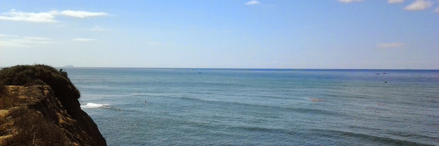 Mark Chaisson banner