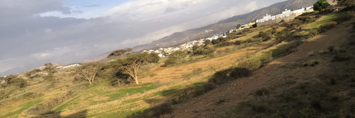 فايع يحيى banner