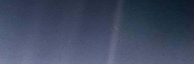 senolkayaoglu1's profile banner image