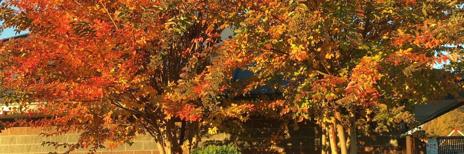 RevLillian's profile banner image