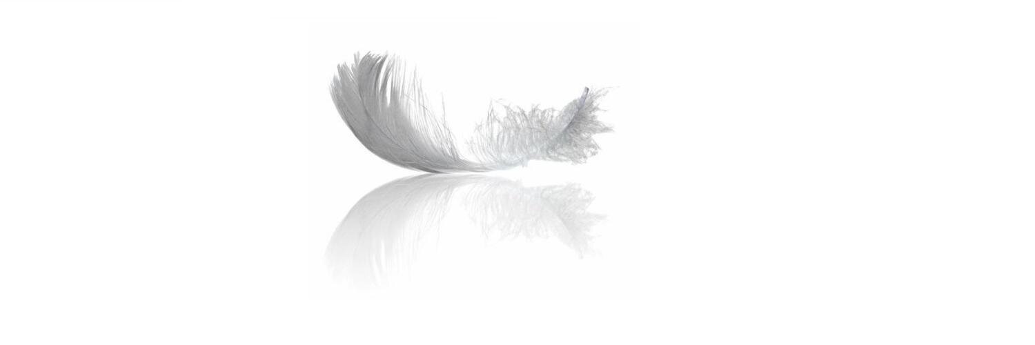 Hadrien Lavielle banner