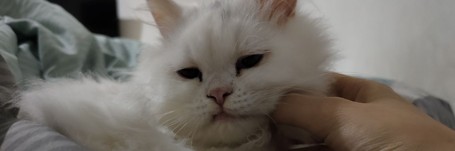 o l a f banner