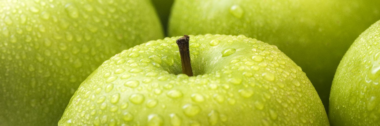 PDSB Staff Wellbeing banner