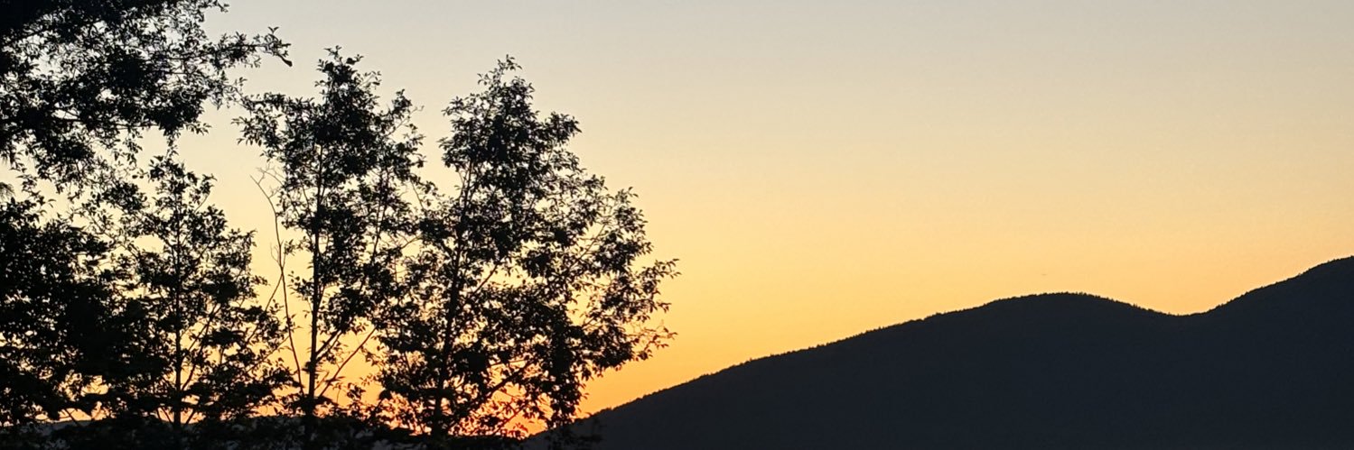 Spruce banner
