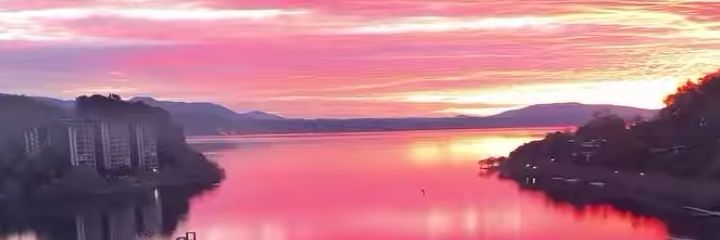 🌹Flor de Azafrán🌹 banner