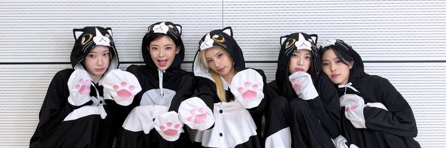 nami | catz line nerd | 🇵🇸 banner