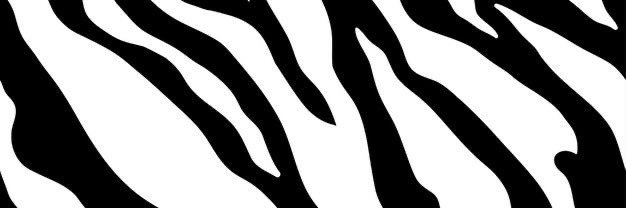 baseadito's profile banner image